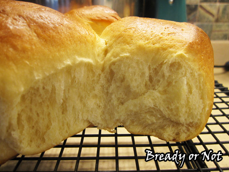 Bready or Not: Japanese Milk Bread Rolls 