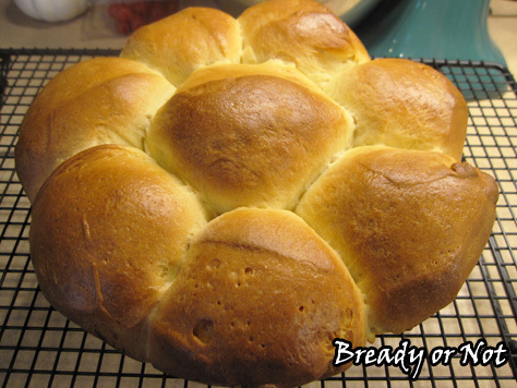 Bready or Not: Japanese Milk Bread Rolls 