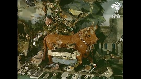 Death of Cock Robin at a taxidermy museum