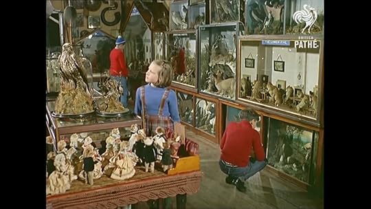 Potter museum of Curios