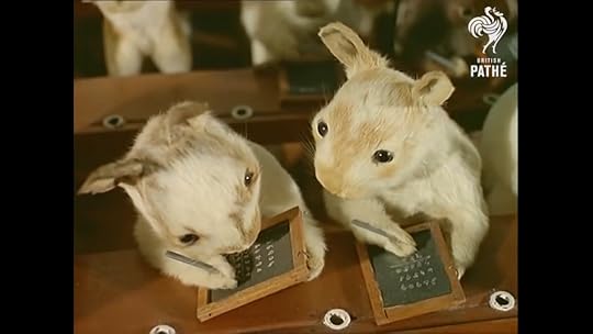 rabbits in school taxidermy