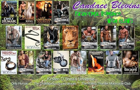 Kirsten O’Shea Universe