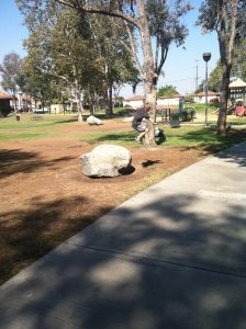 urban oasis child play