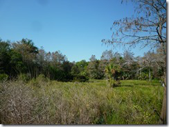 P1060232