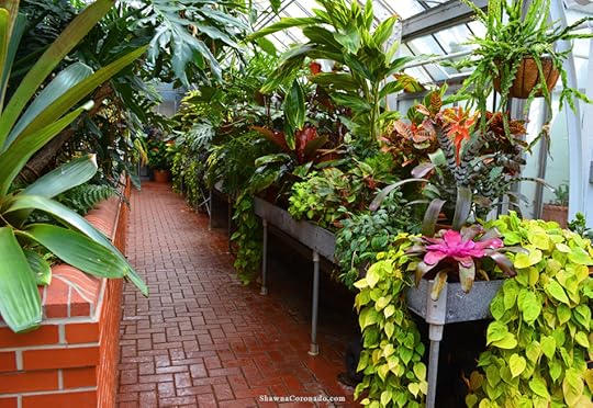 Biltmore Conservatory Greenhouse