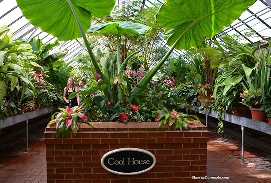 Biltmore Conservatory Cool House