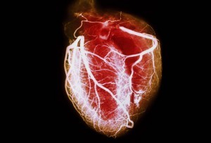 Heart
