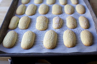 baked ladyfingers/savoiardi
