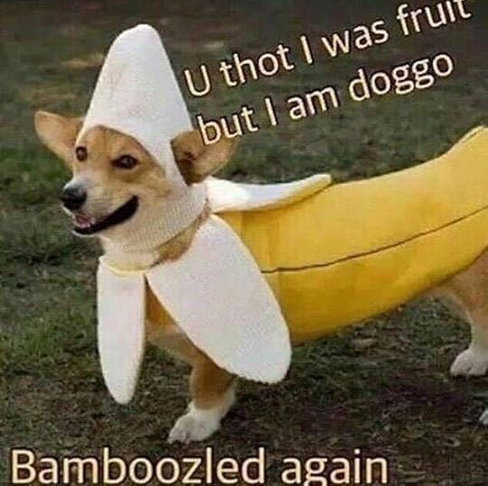doggo banana