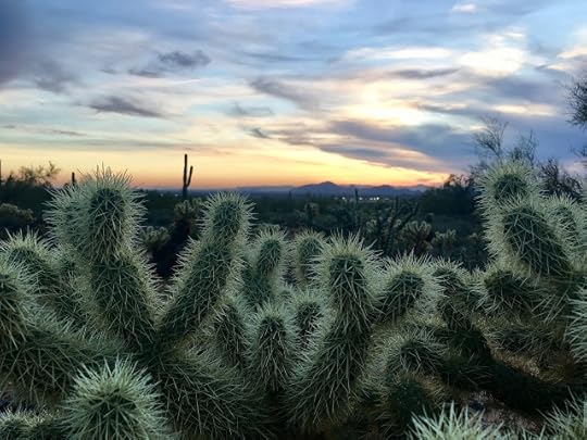 valentine's day hike, scottsdale