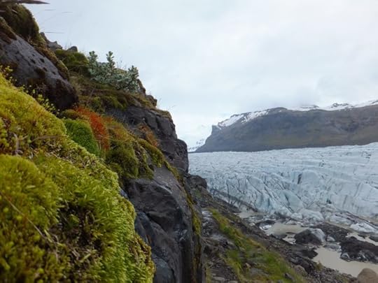 Svínafellsjökkull Glacier sliding past a mossy mountain by Corinne G. Dempsey. Used with permission of photographer.