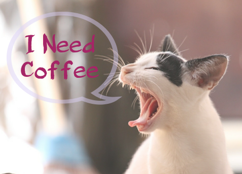 i need coffee kitty