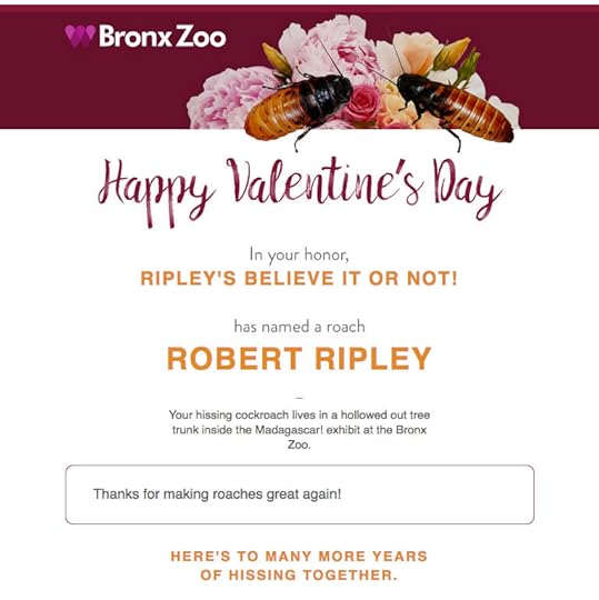 vday-roach