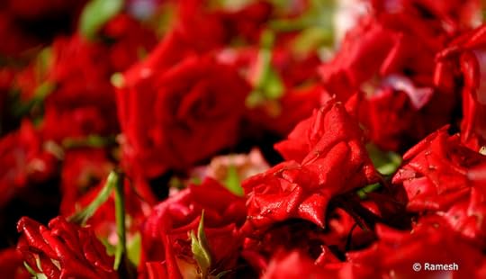 7188915268_2eed6d006c_z