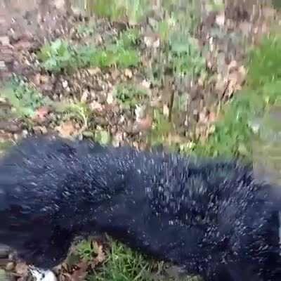 a90d905a-2baa-4352-b70f-fffe6699d743