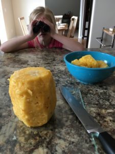 Pineapple watching
