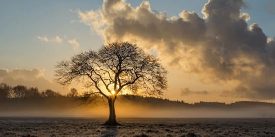 Indie Author Weekly Update