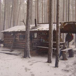 Image result for taiga cabin images