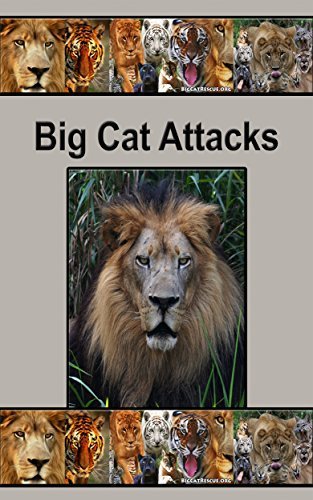 Big Cat Attacks : Accounts of Big Cat Attacks Book Cover