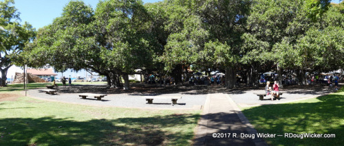 Banyan Court Park