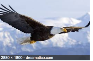 Screen Shot 2017-02-18 at 05.15.50