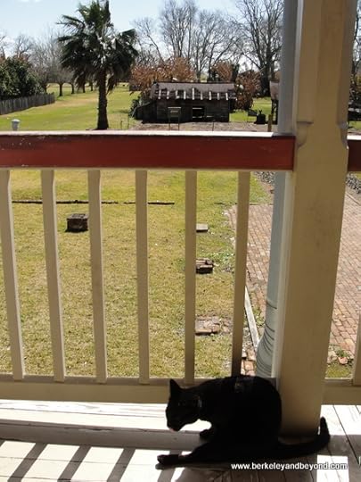 cat's-eye view from plantation house at Laura Plantation in Vacherie, Louisiana