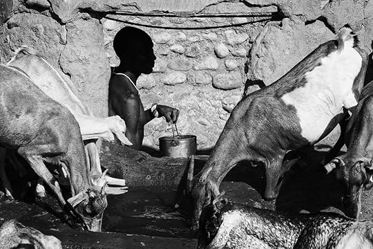 Herdsmen, Nauno Lemagas (top), Ldisiton Leshargole (middle), and Logira Lokuria (bottom) pull water from a drying well in the Ngurunit riverbed.