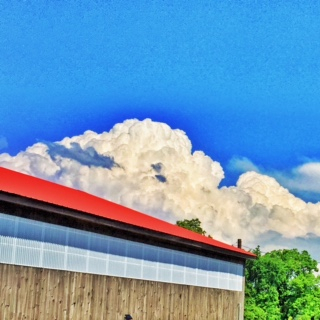 Ascot Clouds