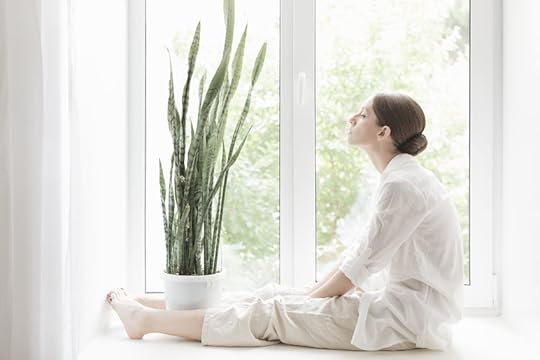 Low-Maintenance Houseplants | Easy Care House Plants | Indoor Gardening | Best Starter Plants