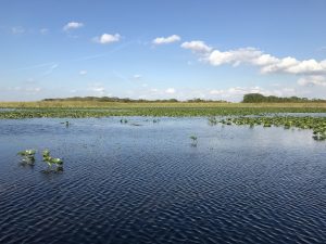 IMG_9725