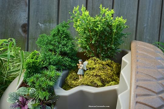 Acorn Garden Container Fairy Garden Closeup