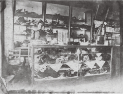 hatshop2