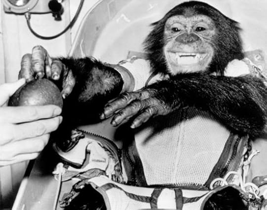 Ham and Enos The First Two Chimps in Space2