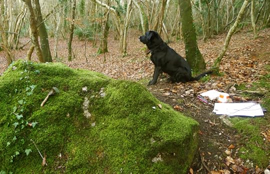 Working in the woods