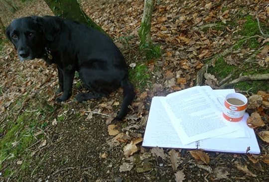 Working in the woods 2