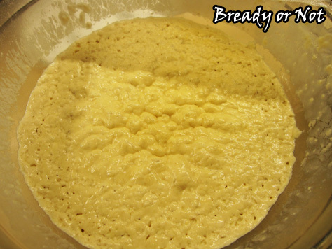 Bready or Not: Yeasted Waffles 