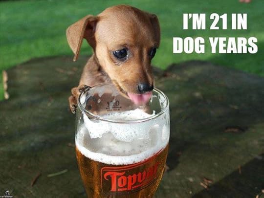 Image result for funny beer drinking pictures