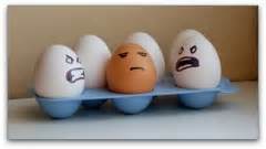 www-allpsychologycareers-comtopicsracial-prejudice