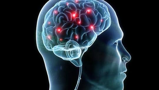 brain function