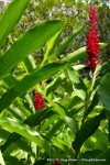 Kaua'i Marriott Resort
