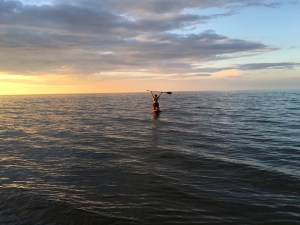 Cynthia Ferrie KEENi Web Design & Consulting