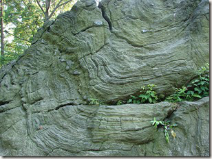 NY-Central-Park-Rock-7333