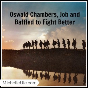 Baffled to Fight Better