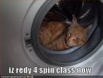 spin2