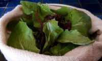 How to Buy and Store Loose Leaf Lettuce & Greens Without Plastic
