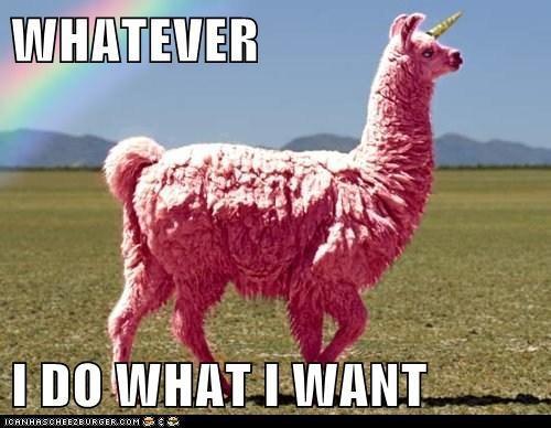 pink llama, 
