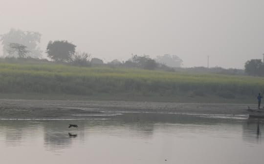 skimming-the-surface