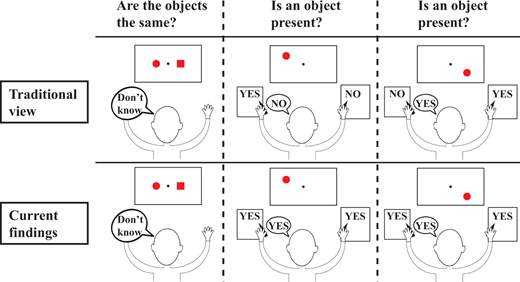 A depiction of the traditional view of the split brain syndrome (top) versus what we actually found in two split-brain patients across a wide variety of tasks (bottom). Image by Yair Pinto et al. Used with permission.