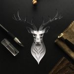 14727443_351574561858816_4563320022339944448_n