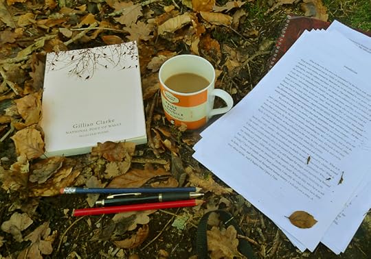 Selected Poems by Gillian Clarke